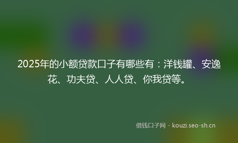 2025年的小额贷款口子有哪些有：洋钱罐、安逸花、功夫贷、人人贷、你我贷等。