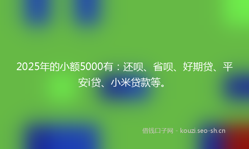 2025年的小额5000有：还呗、省呗、好期贷、平安i贷、小米贷款等。