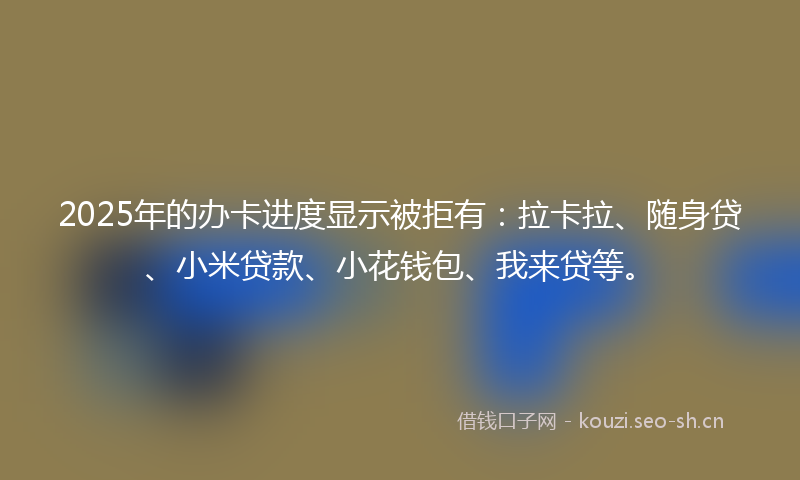 2025年的办卡进度显示被拒有：拉卡拉、随身贷、小米贷款、小花钱包、我来贷等。