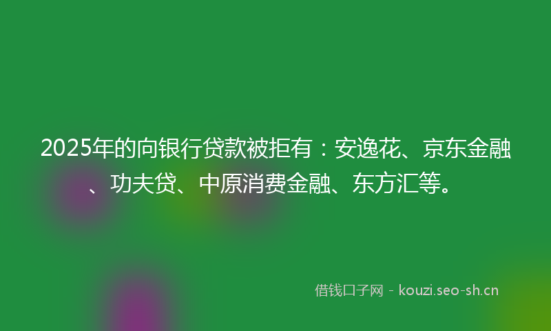 2025年的向银行贷款被拒有：安逸花、京东金融、功夫贷、中原消费金融、东方汇等。