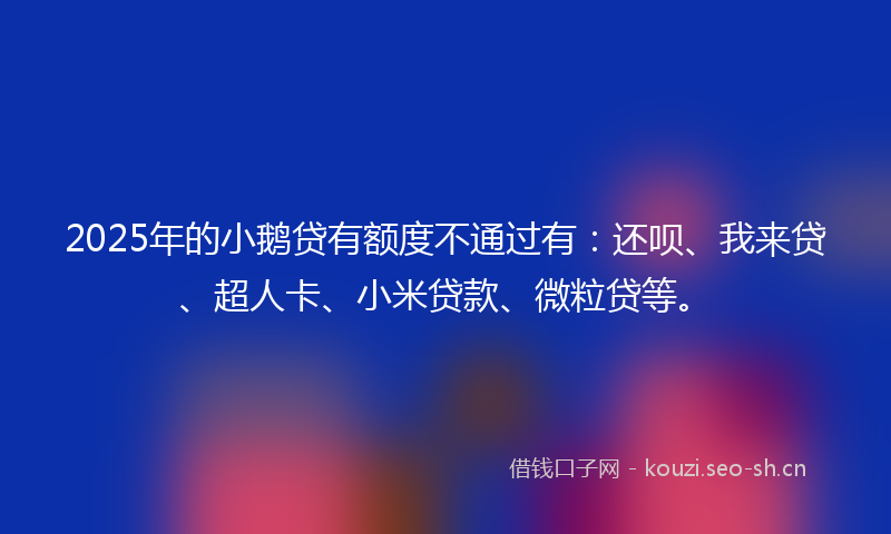 2025年的小鹅贷有额度不通过有：还呗、我来贷、超人卡、小米贷款、微粒贷等。