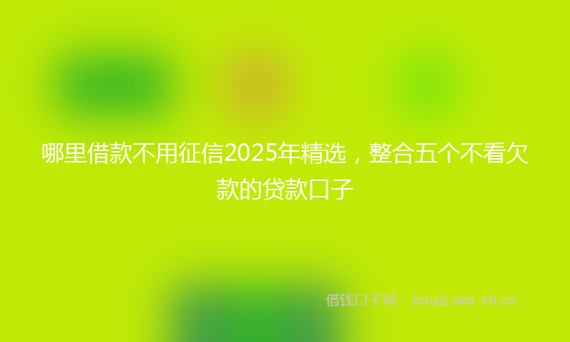 哪里借款不用征信2025年精选，整合五个不看欠款的贷款口子