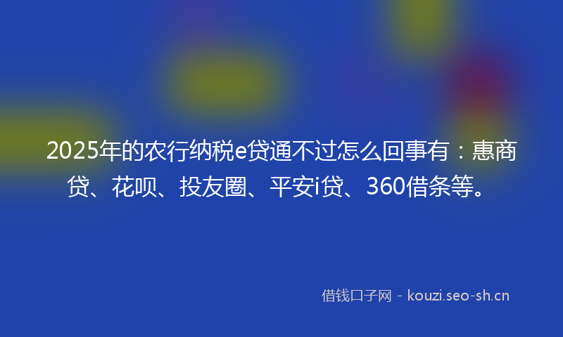 2025年的农行纳税e贷通不过怎么回事有：惠商贷、花呗、投友圈、平安i贷、360借条等。