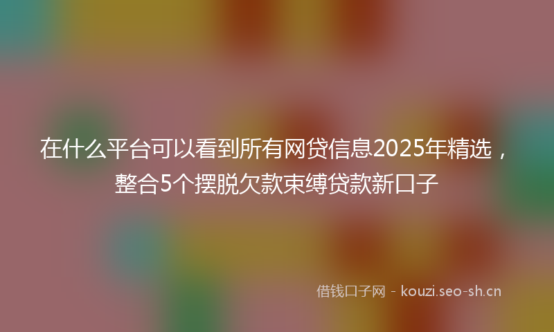 在什么平台可以看到所有网贷信息2025年精选，整合5个摆脱欠款束缚贷款新口子