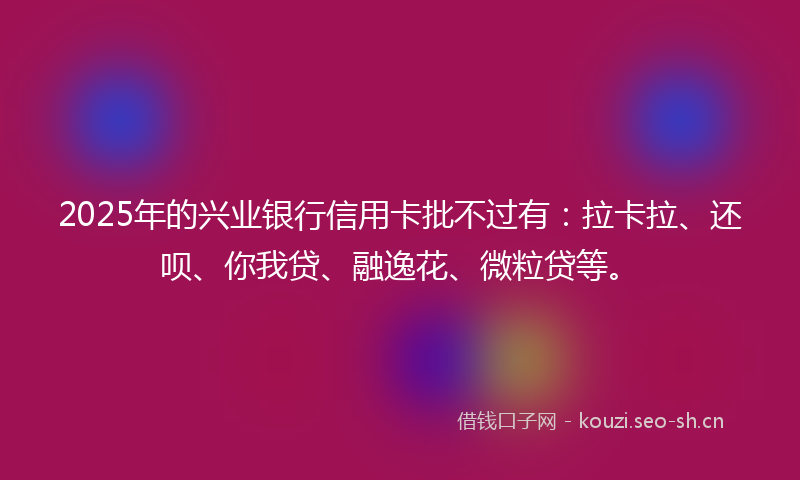 2025年的兴业银行信用卡批不过有：拉卡拉、还呗、你我贷、融逸花、微粒贷等。