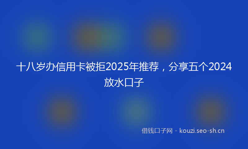 十八岁办信用卡被拒2025年推荐，分享五个2024放水口子