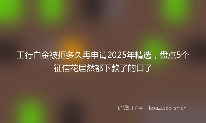 工行白金被拒多久再申请2025年精选，盘点5个征信花居然都下款了的口子