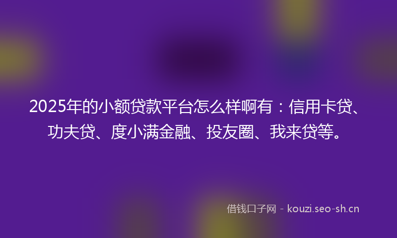 2025年的小额贷款平台怎么样啊有：信用卡贷、功夫贷、度小满金融、投友圈、我来贷等。