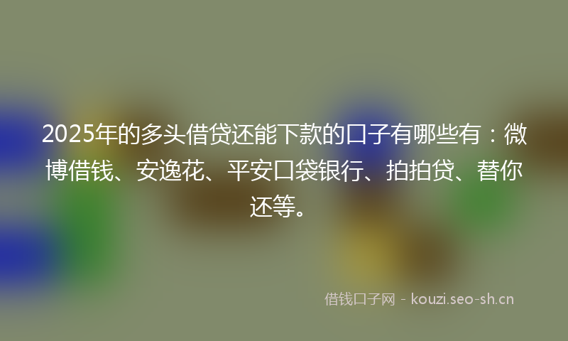 2025年的多头借贷还能下款的口子有哪些有：微博借钱、安逸花、平安口袋银行、拍拍贷、替你还等。