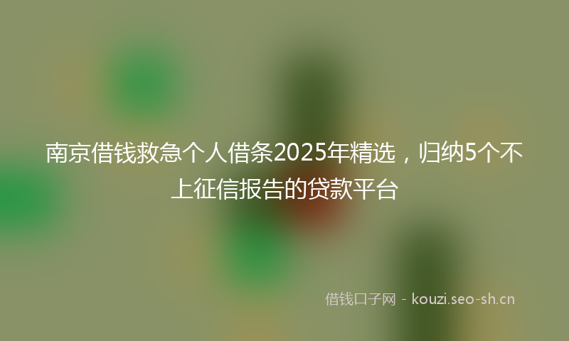 南京借钱救急个人借条2025年精选，归纳5个不上征信报告的贷款平台