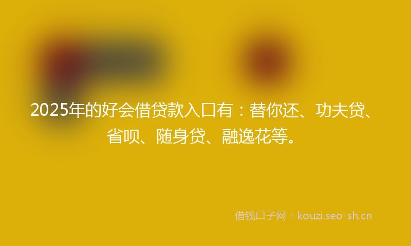 2025年的好会借贷款入口有：替你还、功夫贷、省呗、随身贷、融逸花等。