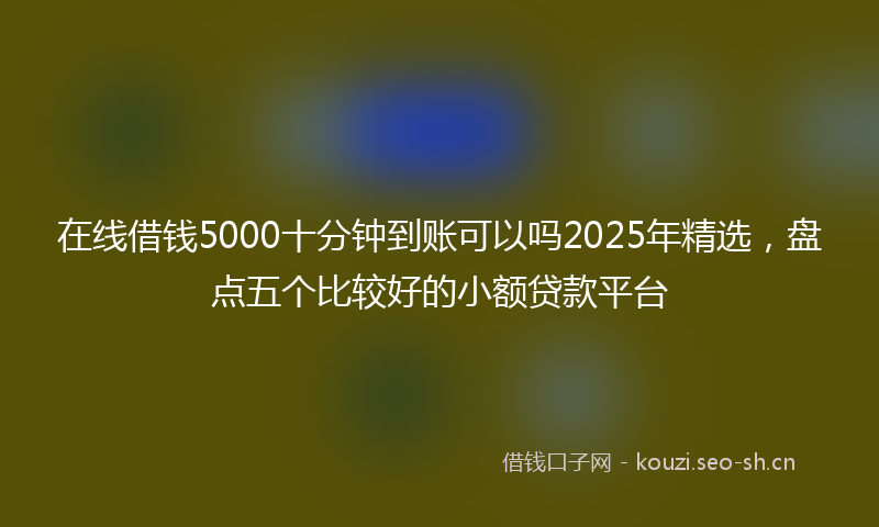 在线借钱5000十分钟到账可以吗2025年精选，盘点五个比较好的小额贷款平台