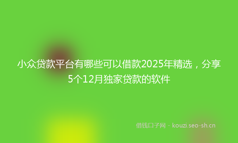 小众贷款平台有哪些可以借款2025年精选，分享5个12月独家贷款的软件