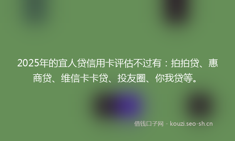 2025年的宜人贷信用卡评估不过有：拍拍贷、惠商贷、维信卡卡贷、投友圈、你我贷等。