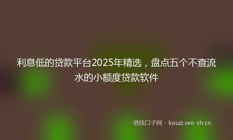 利息低的贷款平台2025年精选，盘点五个不查流水的小额度贷款软件