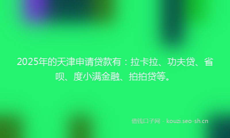 2025年的天津申请贷款有：拉卡拉、功夫贷、省呗、度小满金融、拍拍贷等。