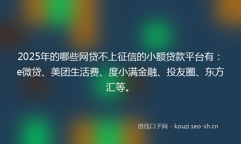 2025年的哪些网贷不上征信的小额贷款平台有：e微贷、美团生活费、度小满金融、投友圈、东方汇等。