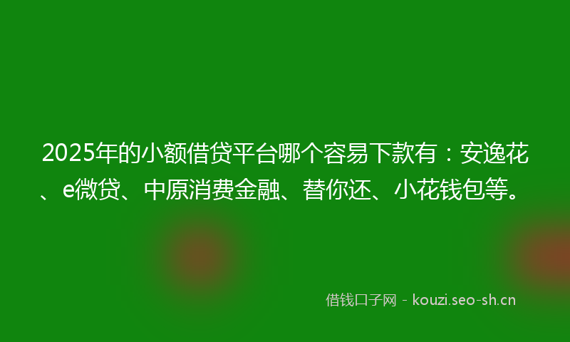 2025年的小额借贷平台哪个容易下款有：安逸花、e微贷、中原消费金融、替你还、小花钱包等。
