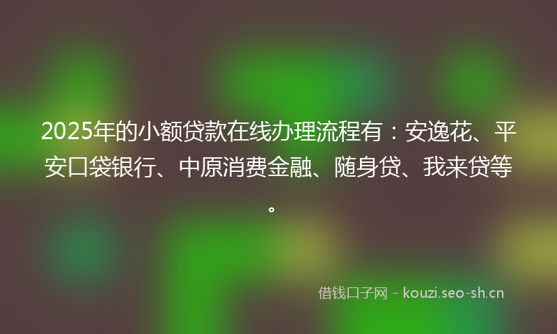 2025年的小额贷款在线办理流程有：安逸花、平安口袋银行、中原消费金融、随身贷、我来贷等。
