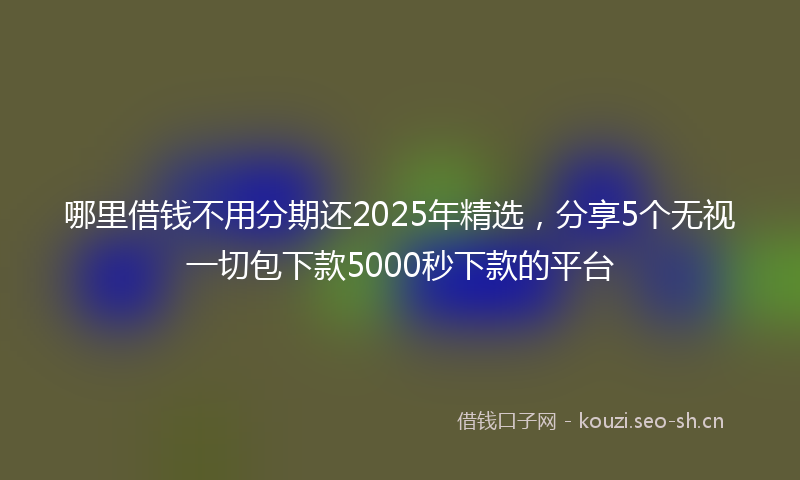 哪里借钱不用分期还2025年精选，分享5个无视一切包下款5000秒下款的平台