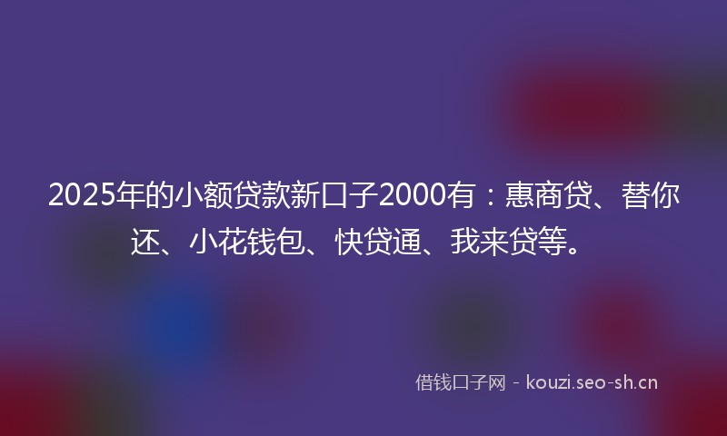 2025年的小额贷款新口子2000有：惠商贷、替你还、小花钱包、快贷通、我来贷等。