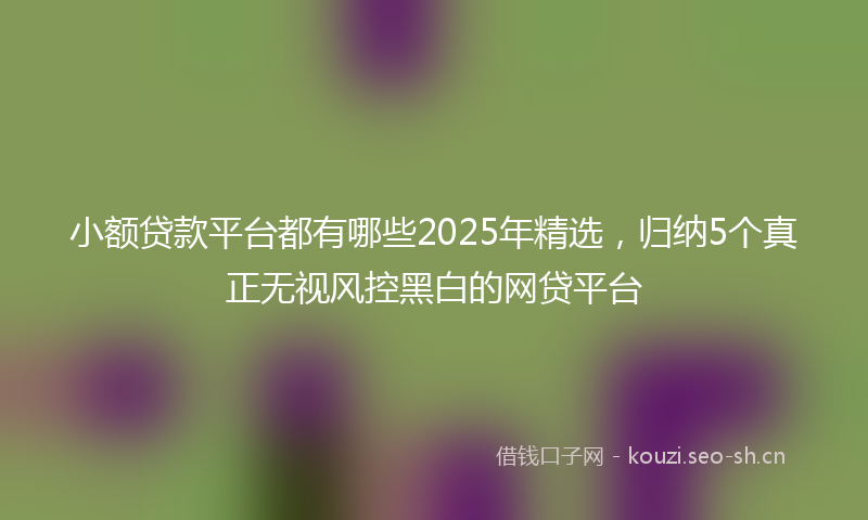 小额贷款平台都有哪些2025年精选,归纳5个真正无视风控黑白的网贷平台