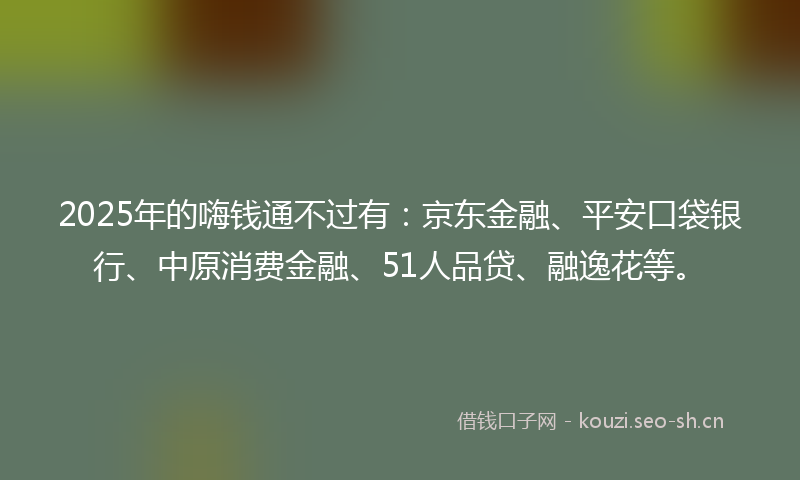 2025年的嗨钱通不过有：京东金融、平安口袋银行、中原消费金融、51人品贷、融逸花等。