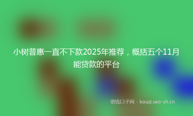 小树普惠一直不下款2025年推荐,概括五个11月能贷款的平台