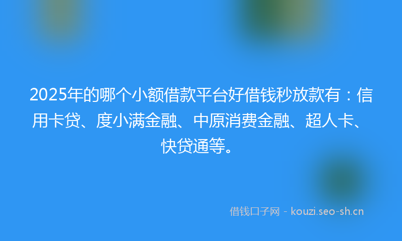 2025年的哪个小额借款平台好借钱秒放款有：信用卡贷、度小满金融、中原消费金融、超人卡、快贷通等。