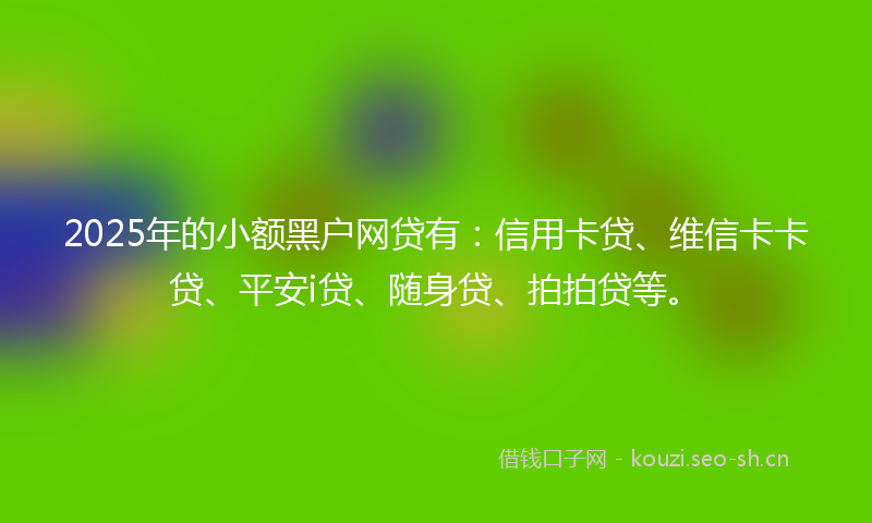 2025年的小额黑户网贷有：信用卡贷、维信卡卡贷、平安i贷、随身贷、拍拍贷等。