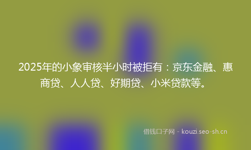 2025年的小象审核半小时被拒有：京东金融、惠商贷、人人贷、好期贷、小米贷款等。
