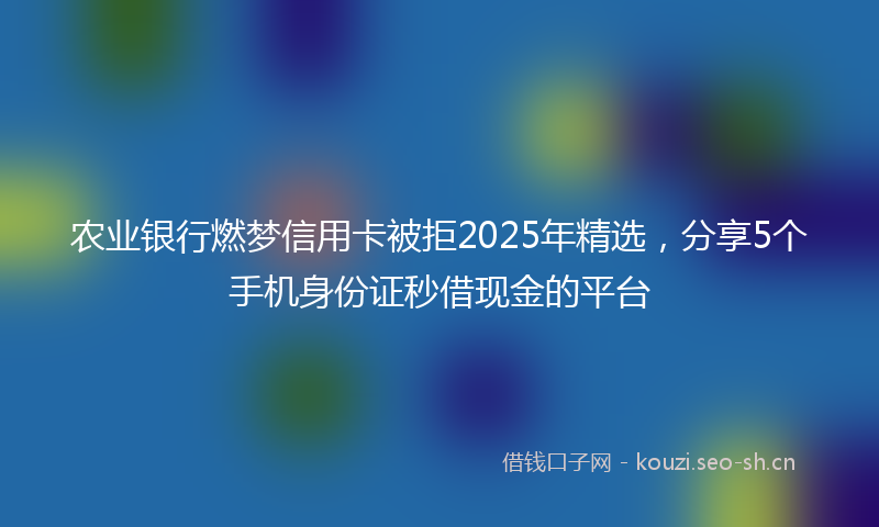 农业银行燃梦信用卡被拒2025年精选，分享5个手机身份证秒借现金的平台
