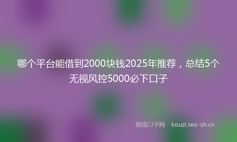 哪个平台能借到2000块钱2025年推荐，总结5个无视风控5000必下口子