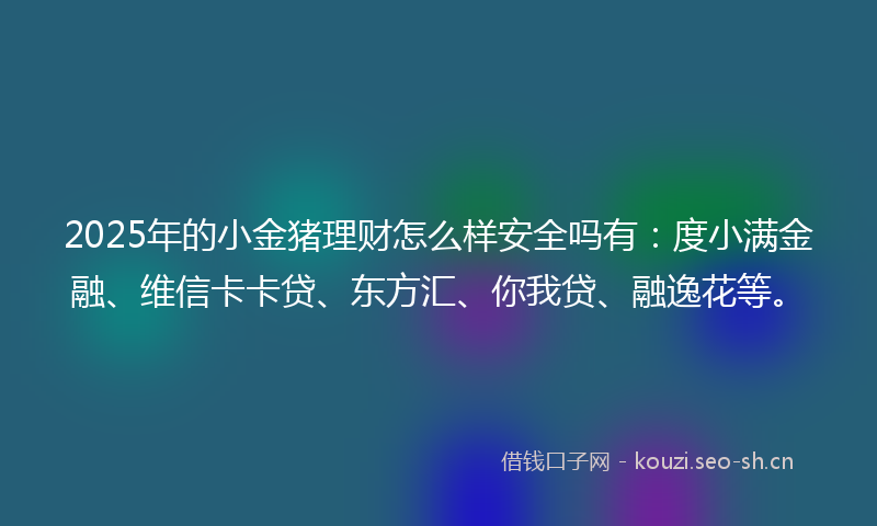 2025年的小金猪理财怎么样安全吗有：度小满金融、维信卡卡贷、东方汇、你我贷、融逸花等。