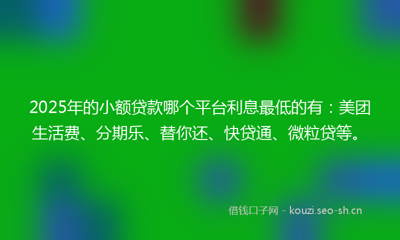 2025年的小额贷款哪个平台利息最低的有：美团生活费、分期乐、替你还、快贷通、微粒贷等。