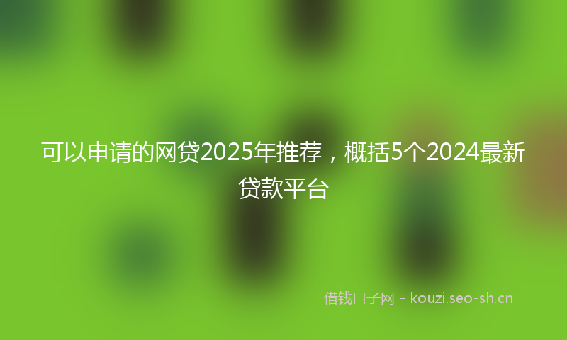 可以申请的网贷2025年推荐，概括5个2024最新贷款平台