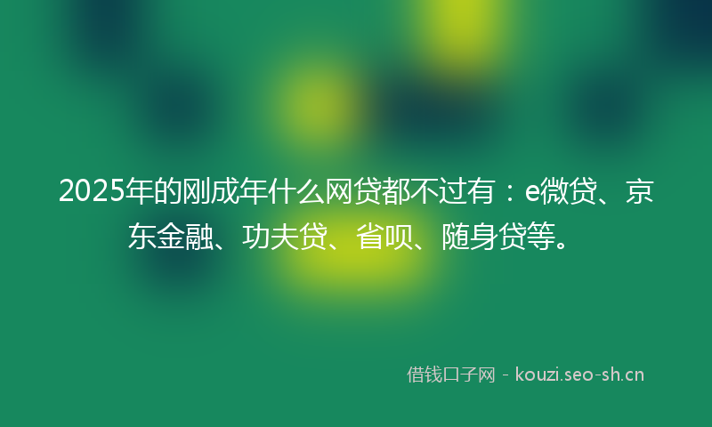 2025年的刚成年什么网贷都不过有：e微贷、京东金融、功夫贷、省呗、随身贷等。