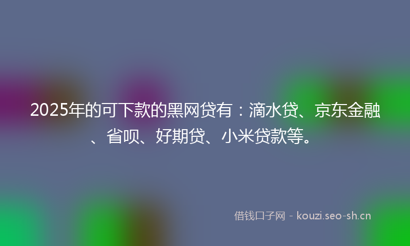 2025年的可下款的黑网贷有:滴水贷、京东金融、省呗、好期贷、小米贷款等。
