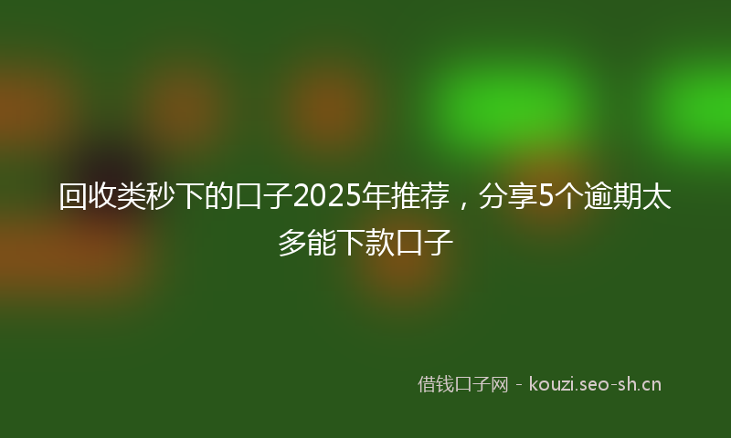 回收类秒下的口子2025年推荐，分享5个逾期太多能下款口子