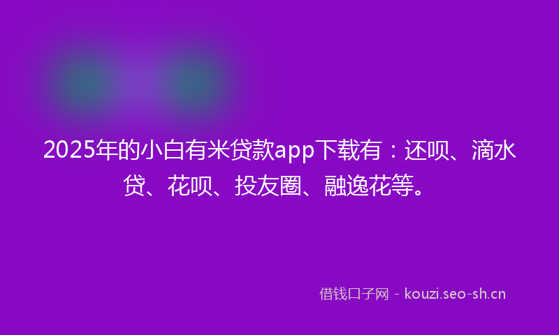 2025年的小白有米贷款app下载有：还呗、滴水贷、花呗、投友圈、融逸花等。