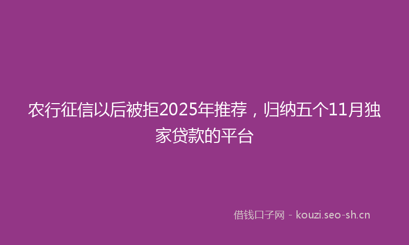 农行征信以后被拒2025年推荐，归纳五个11月独家贷款的平台