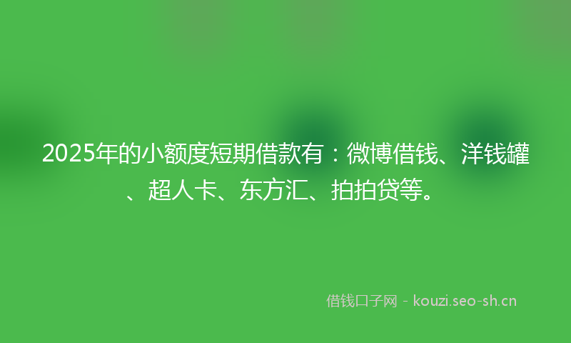 2025年的小额度短期借款有：微博借钱、洋钱罐、超人卡、东方汇、拍拍贷等。