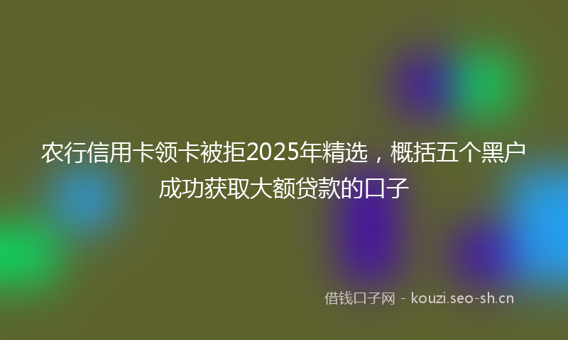 农行信用卡领卡被拒2025年精选，概括五个黑户成功获取大额贷款的口子