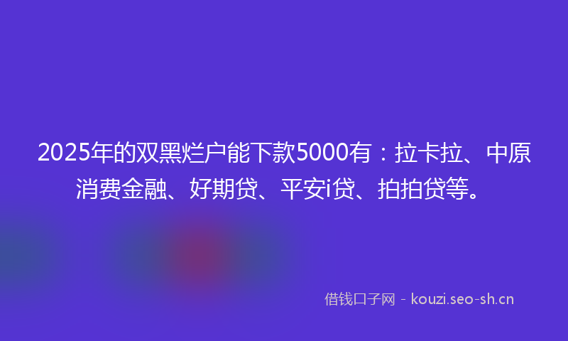 2025年的双黑烂户能下款5000有：拉卡拉、中原消费金融、好期贷、平安i贷、拍拍贷等。