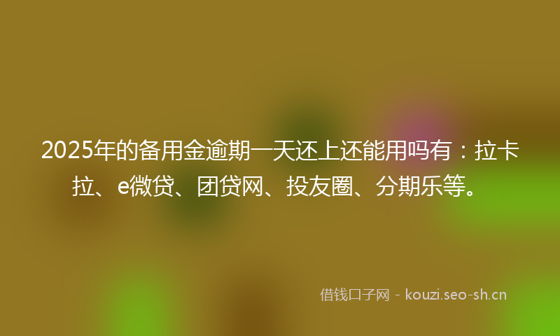 2025年的备用金逾期一天还上还能用吗有：拉卡拉、e微贷、团贷网、投友圈、分期乐等。