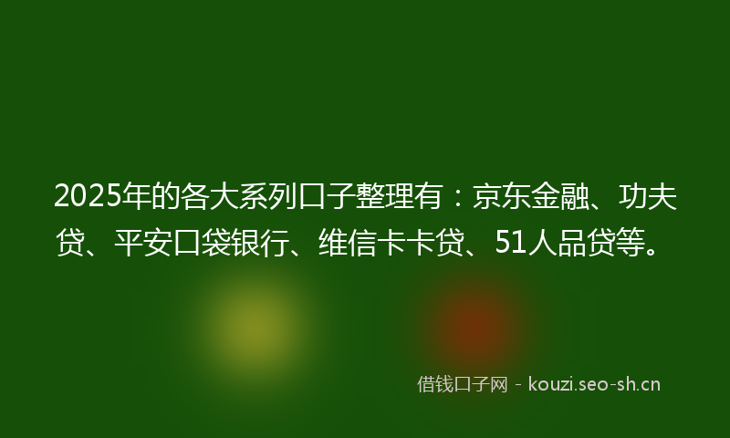 2025年的各大系列口子整理有：京东金融、功夫贷、平安口袋银行、维信卡卡贷、51人品贷等。
