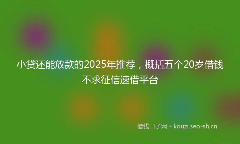 小贷还能放款的2025年推荐,概括五个20岁借钱不求征信速借平台