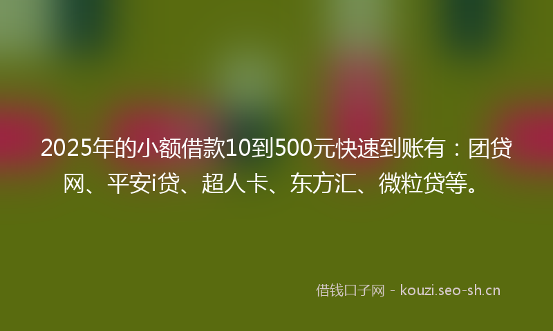 2025年的小额借款10到500元快速到账有：团贷网、平安i贷、超人卡、东方汇、微粒贷等。