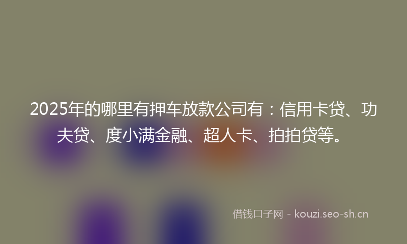2025年的哪里有押车放款公司有：信用卡贷、功夫贷、度小满金融、超人卡、拍拍贷等。