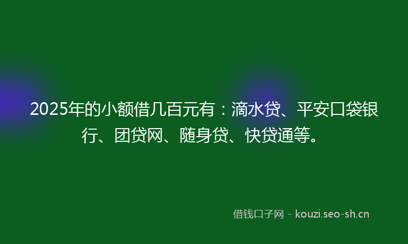 2025年的小额借几百元有：滴水贷、平安口袋银行、团贷网、随身贷、快贷通等。